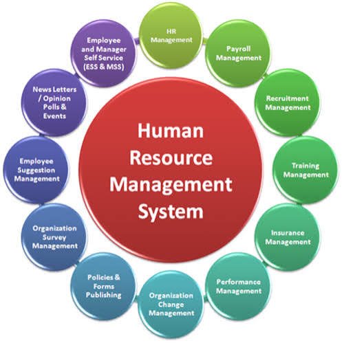 Human Resources Management Systems (HRMS) Development Services