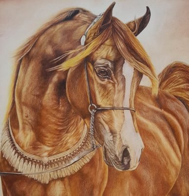 Horse